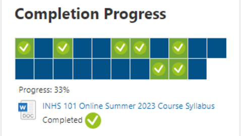 Thumbnail for Using Completion Tracking 2023.mp4