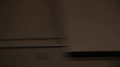 Thumbnail for Lillian Dyck Introduction