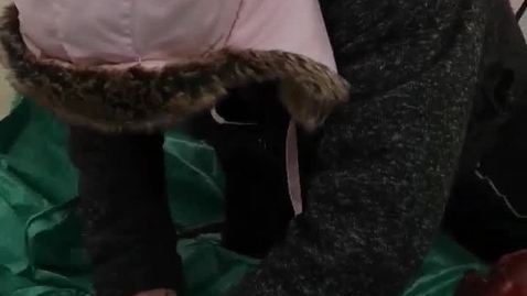 Thumbnail for FSIN Youth Camp Video 5.mp4