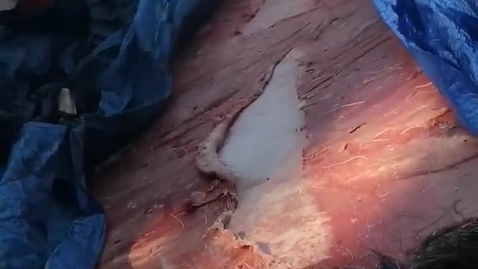 Thumbnail for FSIN Youth Camp Video 7