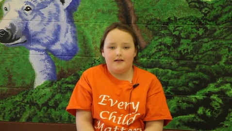 Thumbnail for Interview with Leslie Lonethunder