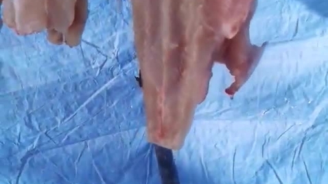 Thumbnail for FSIN Youth Camp Video 12