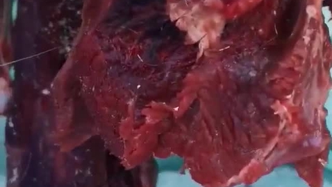 Thumbnail for FSIN Youth Camp Video 11