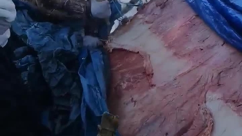 Thumbnail for FSIN Youth Camp Video 13