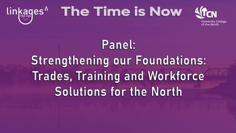 Thumbnail for Strengthening Our Foundations Panel