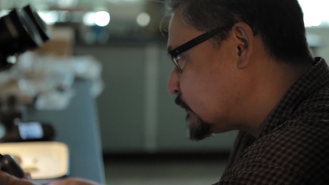 Thumbnail for Wild Archaeology - In Honour of Sitting Bull - S.2 Ep.9