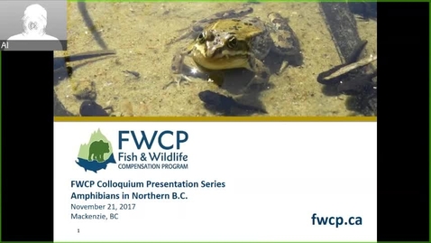 Thumbnail for FWCP Colloqium Presentation Series - Amphibians in Northern BC - November 21 2017