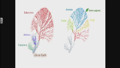 Thumbnail for NRESi/IWAU Joint Colloquium: Mycoheterotrophs: pretty in pink (and white). Andy Mackinnon, Forest Ecologist - November 24, 2017