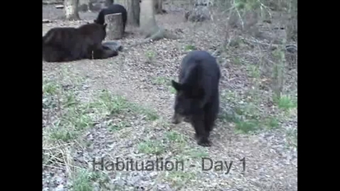 Thumbnail for EM_10_01_04_01_02