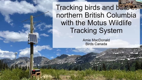 Thumbnail for Amie Macdonald - Tracking Birds and Bats in Northern British Columbia with the Motus Wildlife Tracking System - NRESi presentation Wednesday 8 April 2026