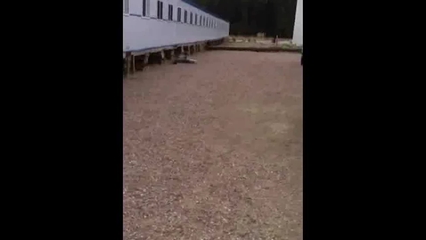 Thumbnail for EM_10_01_04_01_03