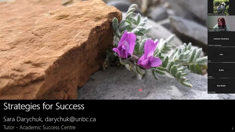 Thumbnail for Strategies for Success