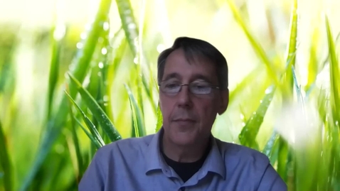 Thumbnail for 13 - Roundtable Strategies for Integrating Peace-building and Reconciliation-building into BC University Curriculum and Pedagogies