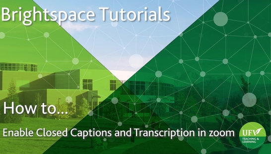 Enable Zoom Closed Caption and Transcript