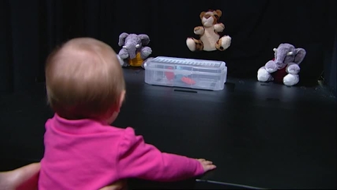 Thumbnail for Born to Be Good?  (Information Only; to view go to Licensed Films &amp; log in)