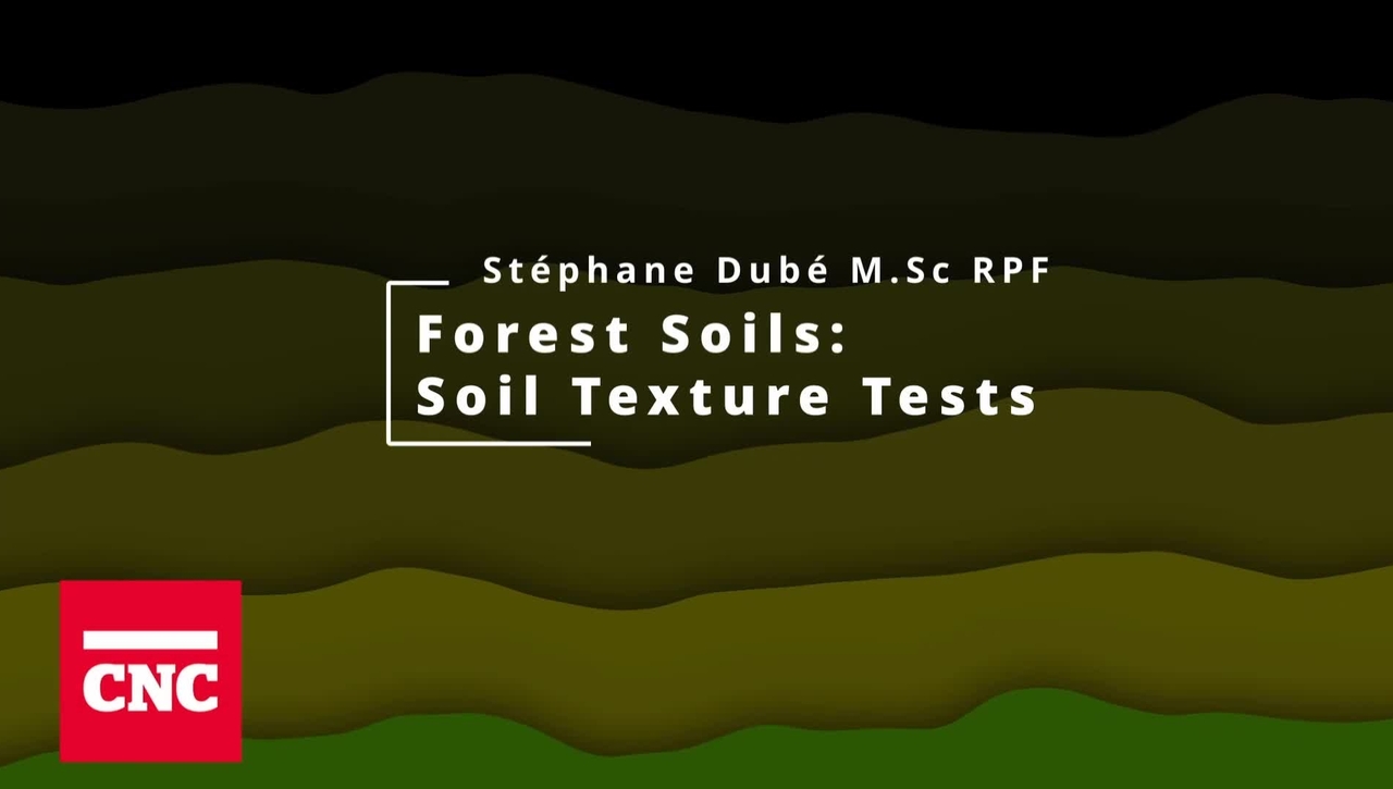 Forest Soils 2: Soil Texture Tests