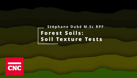 Forest Soils 2: Soil Texture Tests