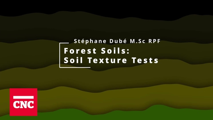 Forest Soils 2: Soil Texture Tests