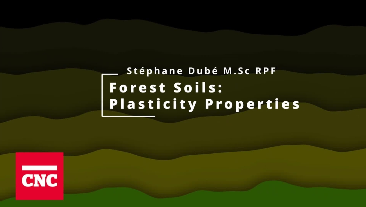 Forest Soils 8: Plasticity Properties