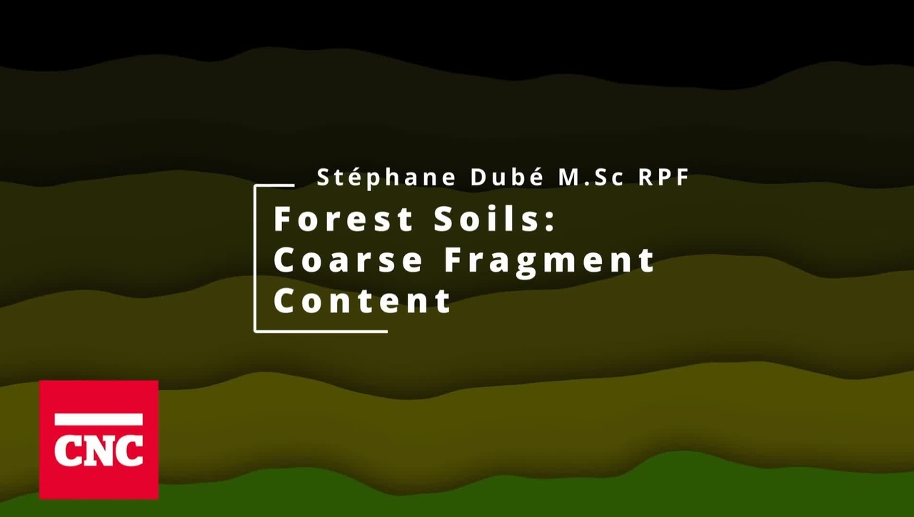 Forest Soils 7: Coarse Fragment Content