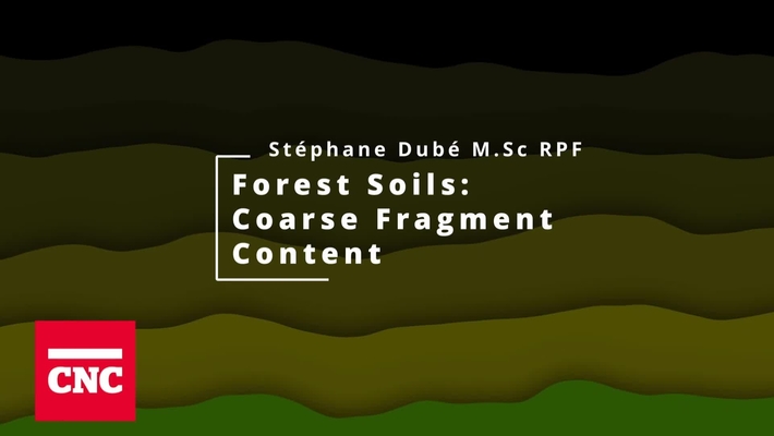 Forest Soils 7: Coarse Fragment Content