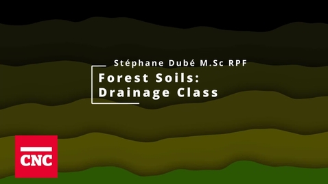 Thumbnail for Forest Soils 6: Drainage Class