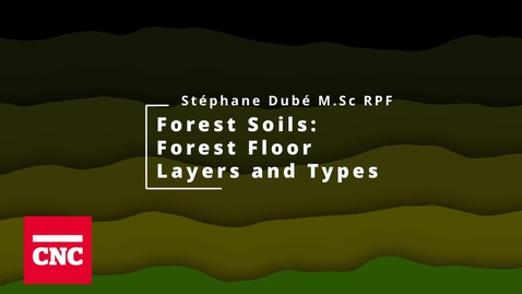 Thumbnail for Forest Soils 4: Forest Floor Layers and Types