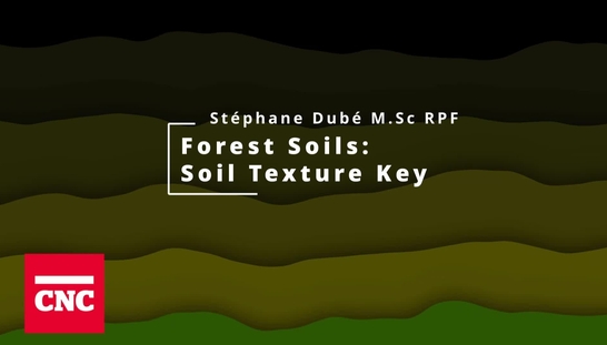 Forest Soils 3: Soil Texture Key
