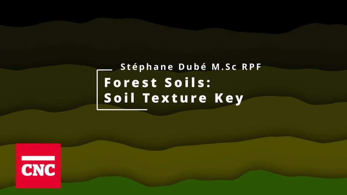 Forest Soils 3: Soil Texture Key