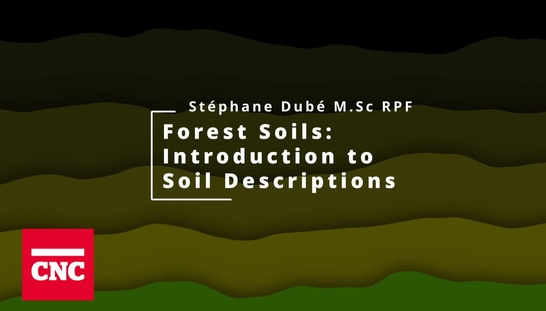 Forest Soils 1: Introduction to Soil Descriptions