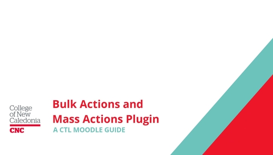 Bulk Actions and Mass Actions