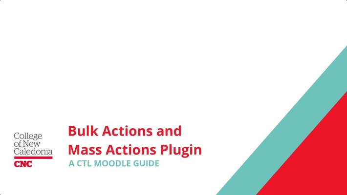 Bulk Actions and Mass Actions