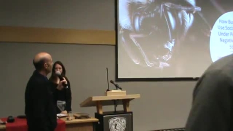 Thumbnail for How Bumblebees (Bombus impatiens) Use Visual Cues of Conspecifics under Stressed and Rewarded Internal States by Jaime Christiaanse