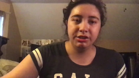 Thumbnail for PSYCH Practicum: Buildmapper by Kayla Garvin