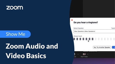 Thumbnail for Zoom Audio and Video Basics
