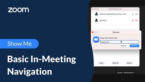 Thumbnail for Basic In-Meeting Navigation