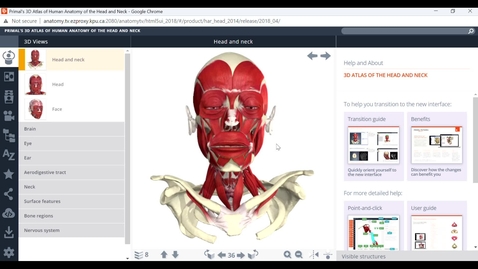 Thumbnail for Anatomy.tv Database Overview