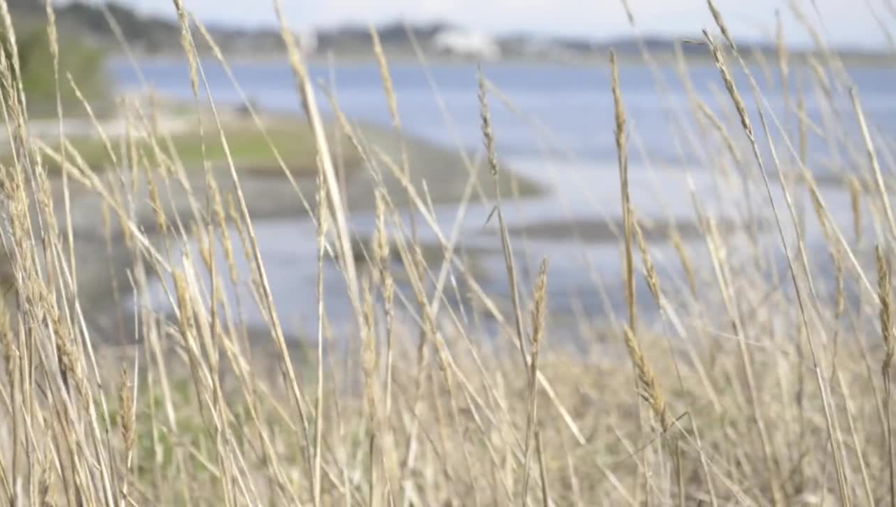 Royal Roads University - Chiefs' Traditional Welcome