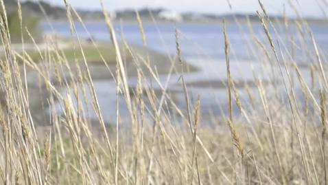 Thumbnail for Royal Roads University - Chiefs' Traditional Welcome