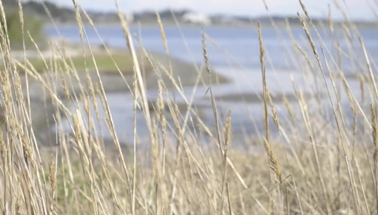 Royal Roads University - Chiefs' Traditional Welcome