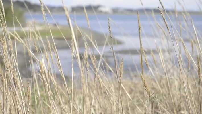 Royal Roads University - Chiefs' Traditional Welcome