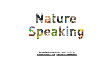 Thumbnail for Studio20 Panel Podcast: Sarah van Borek